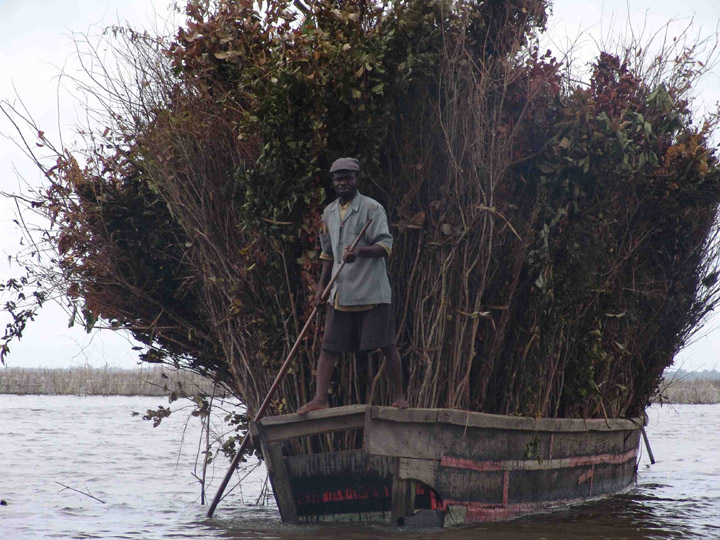 Transporter in Ganvie